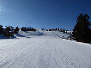 Very good slope grooming