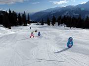 Easy slopes at the Caischavedra practice lift