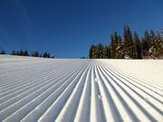 Freshly groomed slope