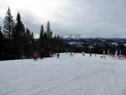 Practice slope in Rödkullen