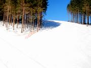 In great shape: The slopes at Sürenberg