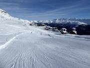 Panorama Descent Fiescheralp