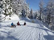 Tip for children  - Toboggan run