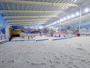 Beginner slope in the lower part of the ski hall