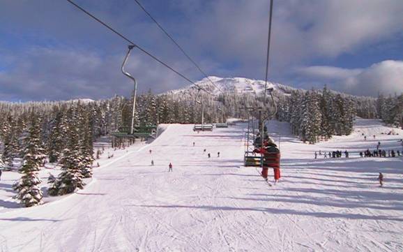 Slope offering Comox Valley – Slope offering Mount Washington