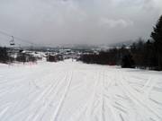 Stolheisbakken downhill run