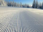 Freshly groomed slope in Sun Peaks