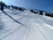 Freshly groomed slope at the Kaiserburg