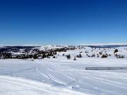View from the Fjellheisen to Kvitfjellet (1044 m)