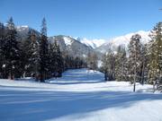 Schober's Dream downhill run in the Sun Bowl