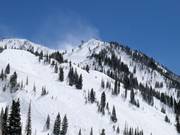 Slopes in the Peruvian Gulch