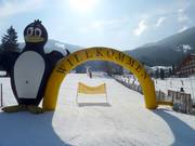 Tip for children  - BOBO children's club Bach run by Ski School Krainer