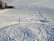 A small slalom course is set up