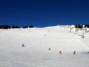 Wide slope at Hasenauer Köpfl