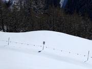 Closure of wildlife protection areas