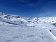 Curtinella Unten slope