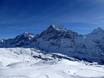 Jungfrau Region: Test reports from ski resorts – Test report First – Grindelwald