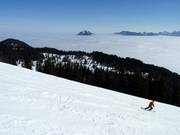 View of the Grünten above the sea of fog