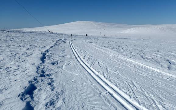 Cross-country skiing Swedish Lapland – Cross-country skiing Dundret Lapland – Gällivare