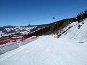 Easy valley run Lett