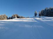 The upper part of the piste