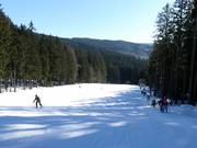 Easy slope at the Spodní Šance drag lift