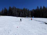 Schatzberg Zwergenland: conveyor belt, ski school area and easy slopes