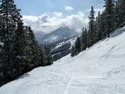 Easy Street downhill run