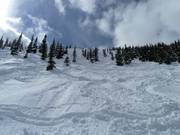 Powder snow paradise at North Peak