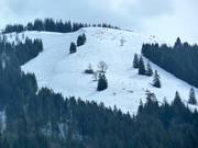 View of the powder slope at Schelpen
