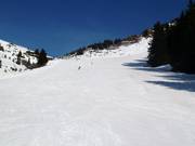 Wide slope at Walmendingerhorn