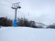 Blue Calf T-Bar - T-bar