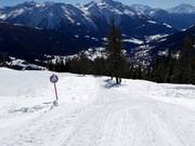 Toboggan run in Bellwald