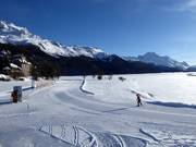 Cross-country trail at the Surlej valley station