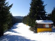 Very flat: Slope from Bremberg towards Kahler Asten