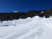 Easy slope at the Tellerlift Amerikan