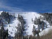 Very steep Daly Bowl