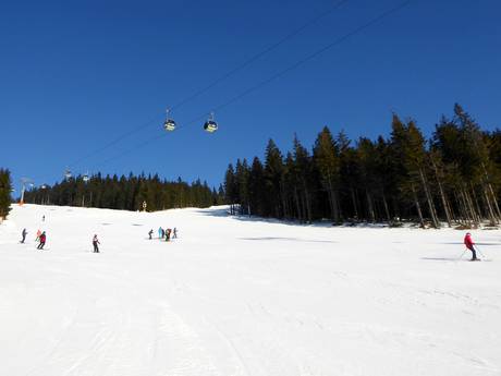Slope offering Giant Mountains (Krkonoše) – Slope offering Černá hora – Janské Lázně