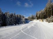 Lella downhill run to the Mönichkirchen valley station