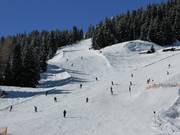 Runs at the Alblittbahn