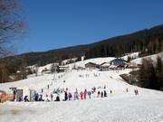 Beginner area at the Egg T-bar lift
