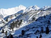 Rückbringerlift - T-bar