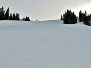 Intermediate Muldenlift slope East