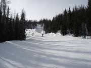 Slope No. 150 Look Out