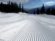 Very well-groomed slopes in Disentis 3000