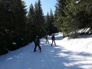 Easy Sitnyakovo King's Cottage Ski Way