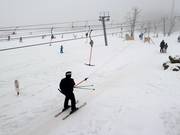 The drag lifts in the valley provide access to easy slopes.