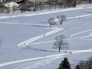 Cross-country trails in Lenggries