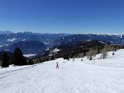 Pacheiner Family Run