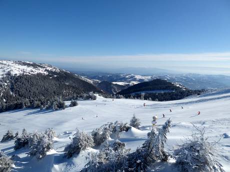 Dinaric Alps: Test reports from ski resorts – Test report Kopaonik
